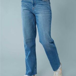 American Eagle Outfitters Light Blue Straight Jeans